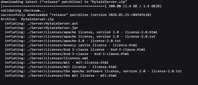 Server console confirming authentication succeeded and continuing the startup sequence